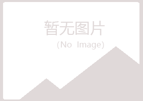 黑山县元风会计有限公司